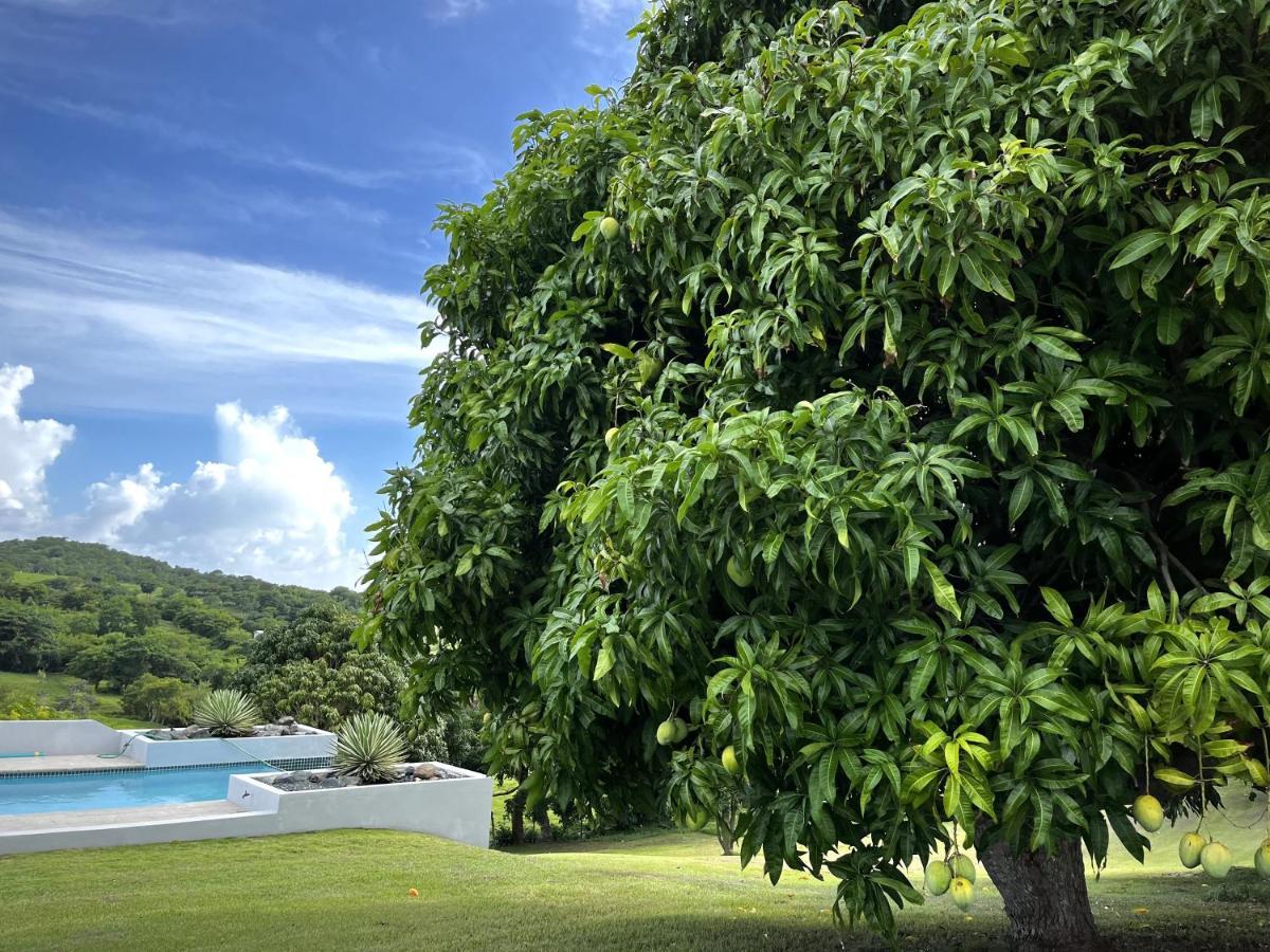 Lejos Eco Retreat Hotell Vieques Eksteriør bilde